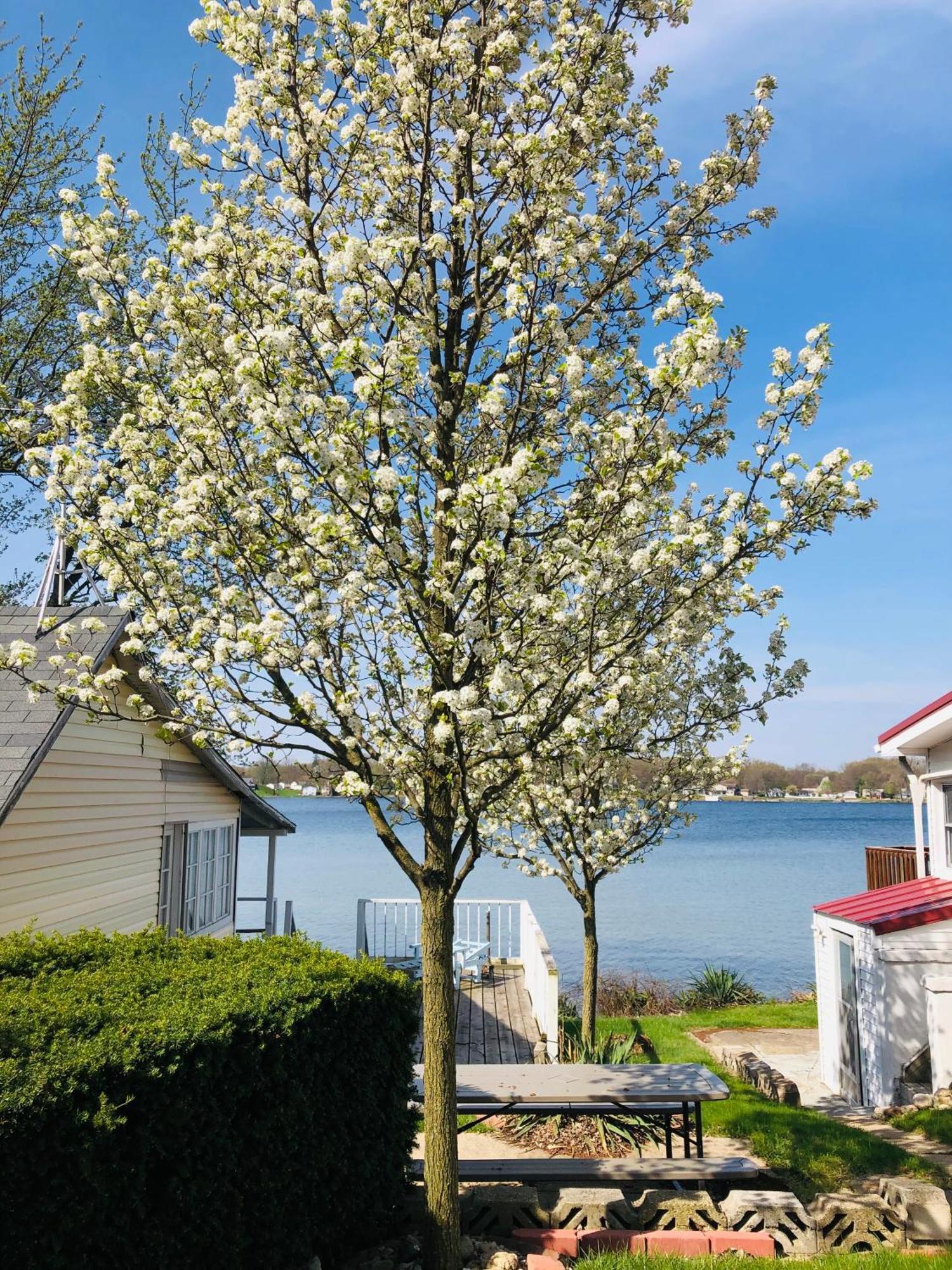 The Wellington Lake Cottage Middlebury Bagian luar foto