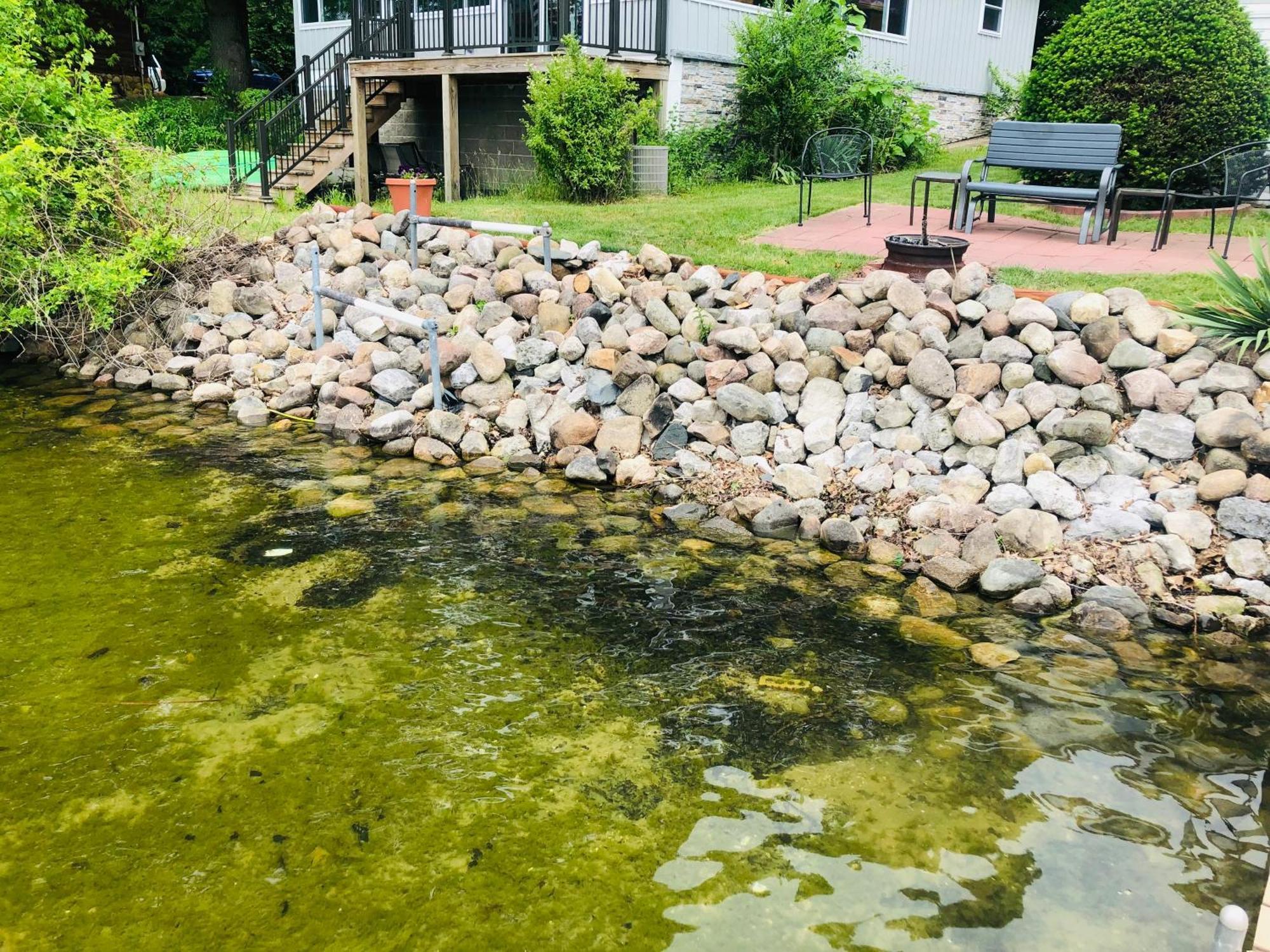 The Wellington Lake Cottage Middlebury Bagian luar foto